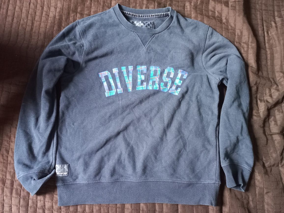 Męska bluza Diverse