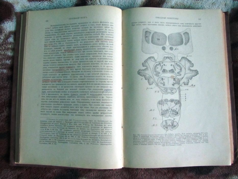 Книга Курс нервных болезней. Даршкевич Л.О. Том 2, 1909 г.