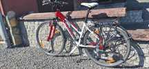 Rower Author corsa cross