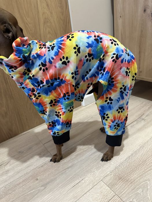 Piżamka dla psa charcik włoski, whippet