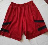Nike Jordan мужские шорты Оригинал