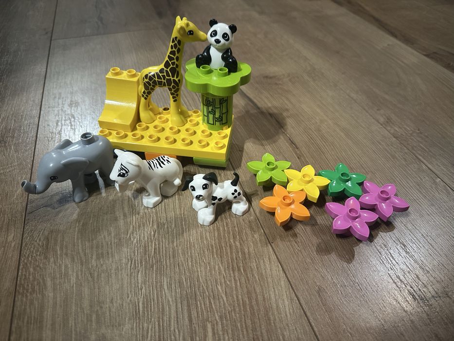 Wlfo Duplo zwierzęta