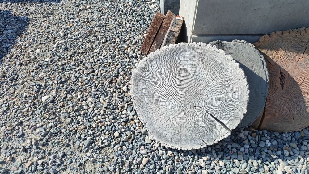 Pień drewnopodobne krążek ogrodowy płyta płytka betonowa taras ogród