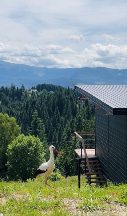 Здається котедж, оренда житла Буковель Яблуниця