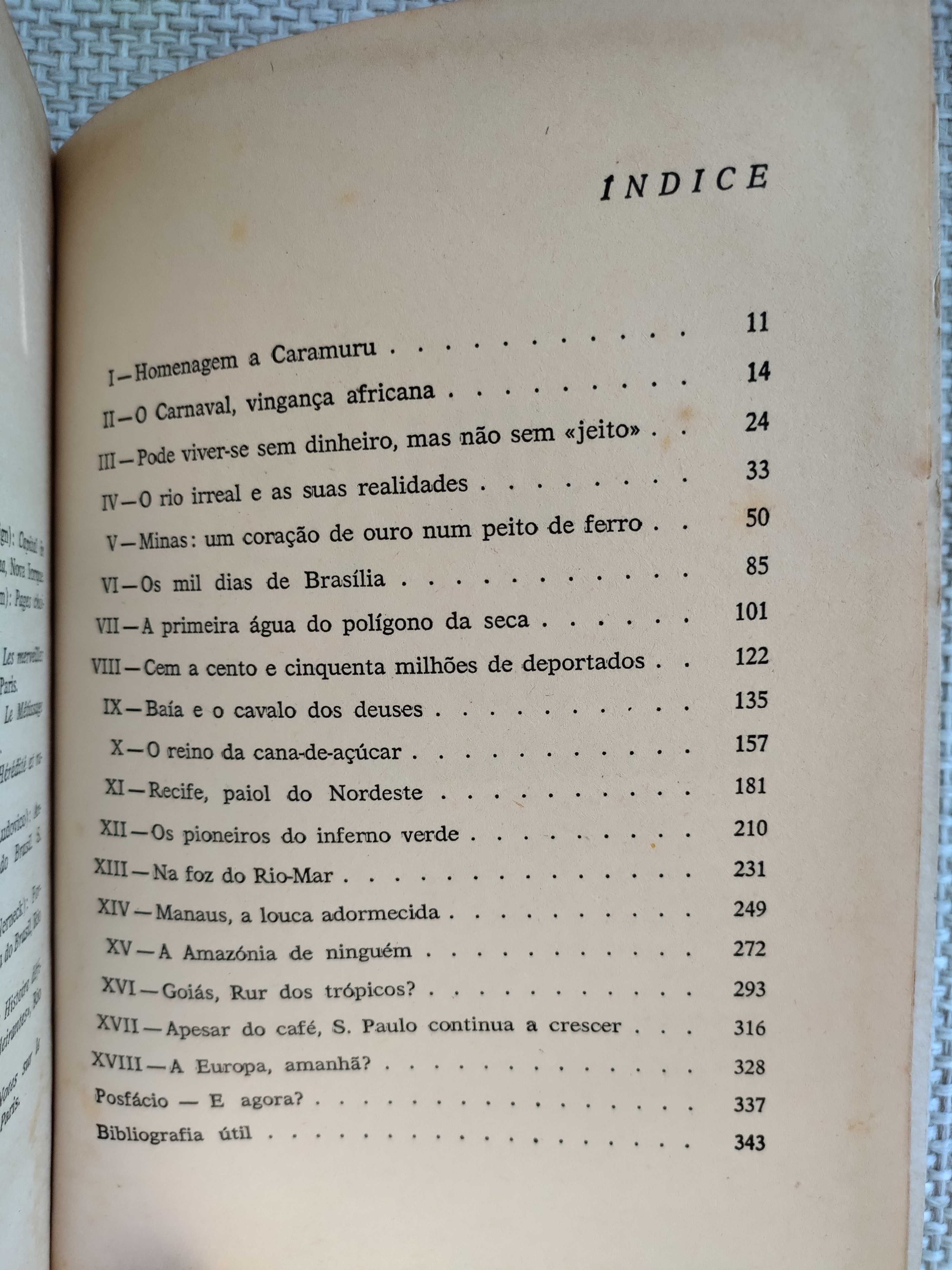 Delirante Brasil (Pierre Rondière)