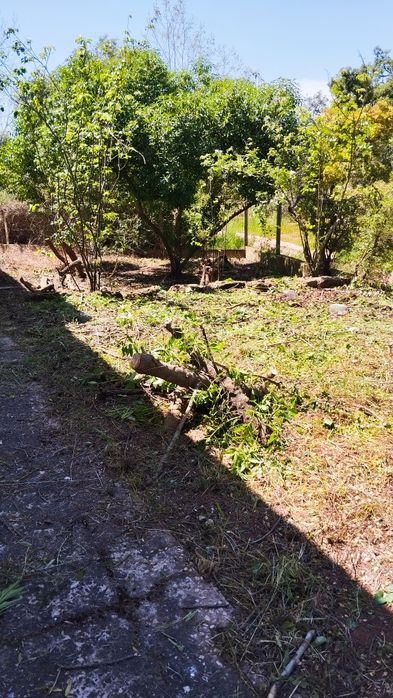 Prestacao de servicos limpeza de terrenos