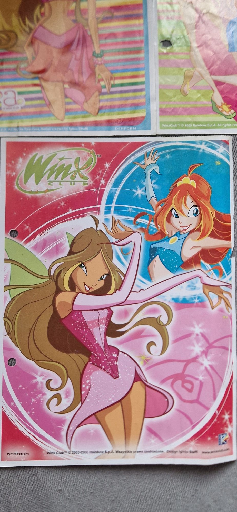 Karteczki winx duże