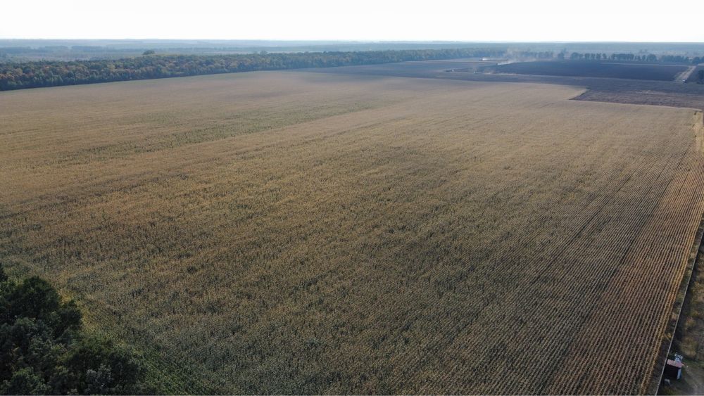 Продажа 50ГА ОСГ Калиновка без %