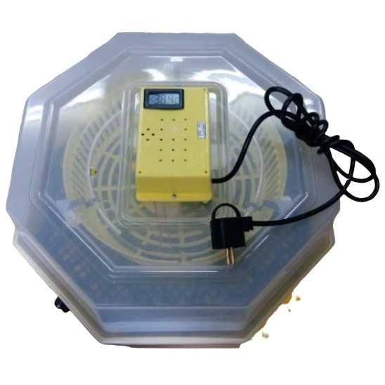 Inkubator do jaj CLEO 5