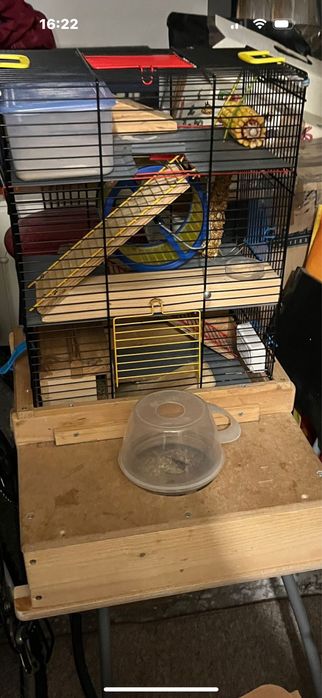 Rozbudowana i dobrze wyposazona klatka dla gryzoni