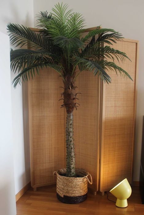 Conjunto de Decoração – Transforme o Seu Espaço com Estilo