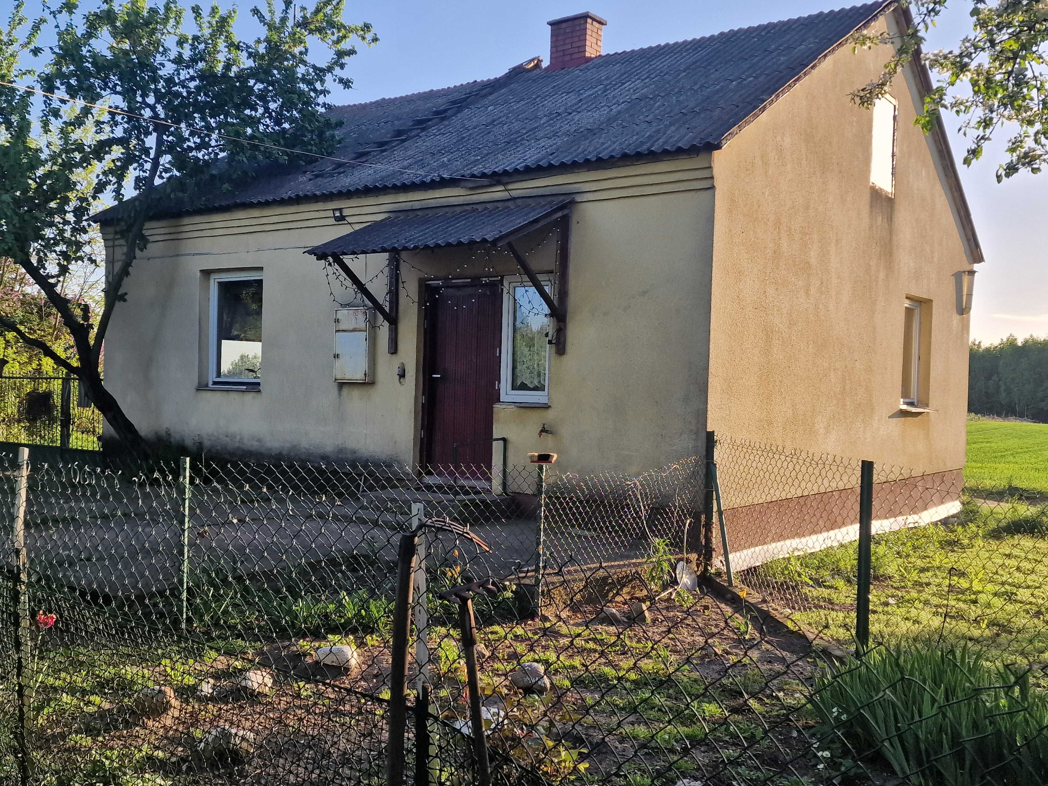 Dom do wynajęcia w Dąbrówka Stany