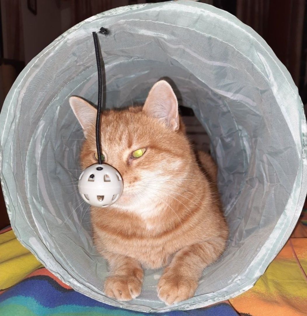 Тоннель тунель заводна механічна миша  іграшки коту кішкам игрушки