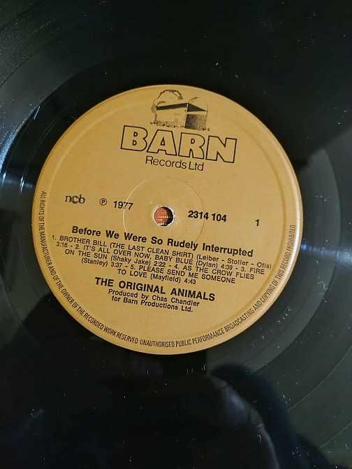 Animals – Before We Were So Rudely Interrupted