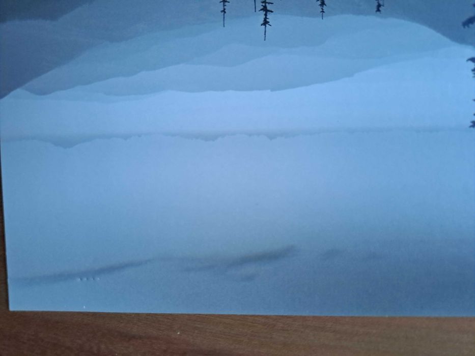 IKEA 5x kartka kartki pocztówki Monte Nagler czarno-białe