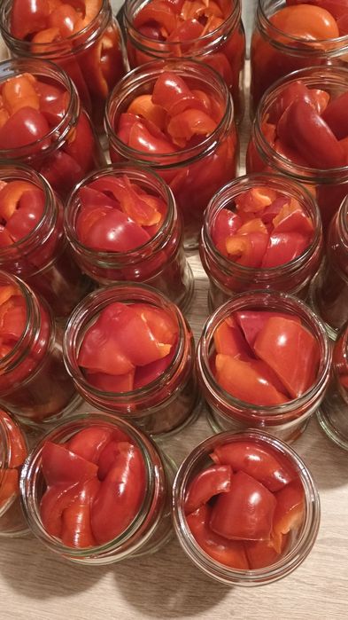 Papryka konserwową 0,315