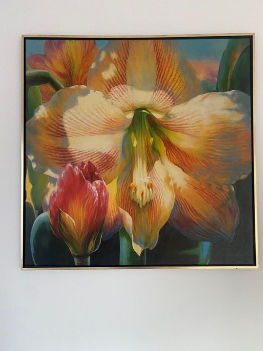 Obraz 105x105 kwiat amarylis