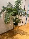 Belíssima - Planta artificial  - 92cmX20 ( unidade da planta)