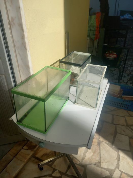 3 Aquários Vários Tamanhos