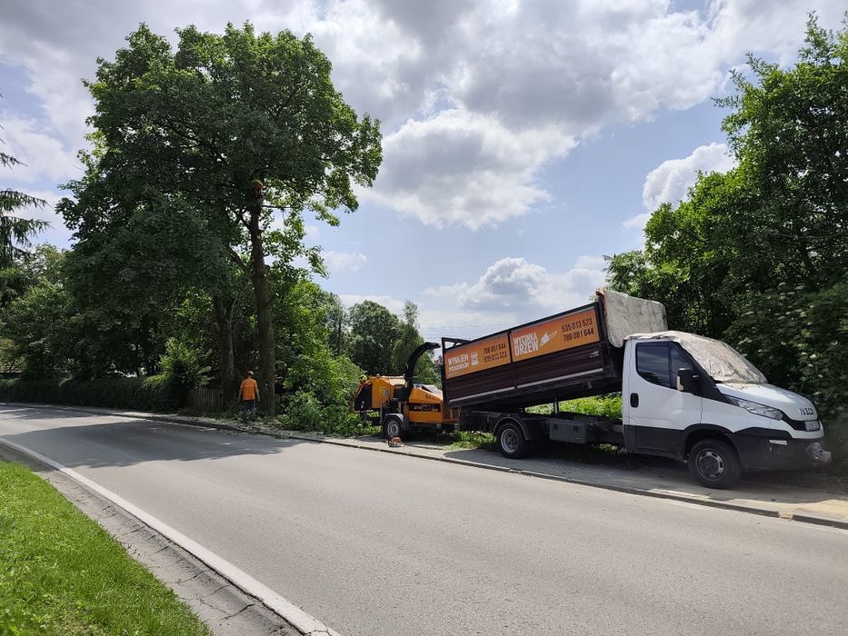 Wynajem rębaka do gałęzi, zrębkowanie gałęzi