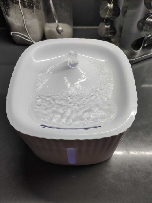 Fonte de Água para animais