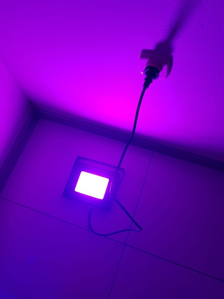 LED Eurolite Purple IP65