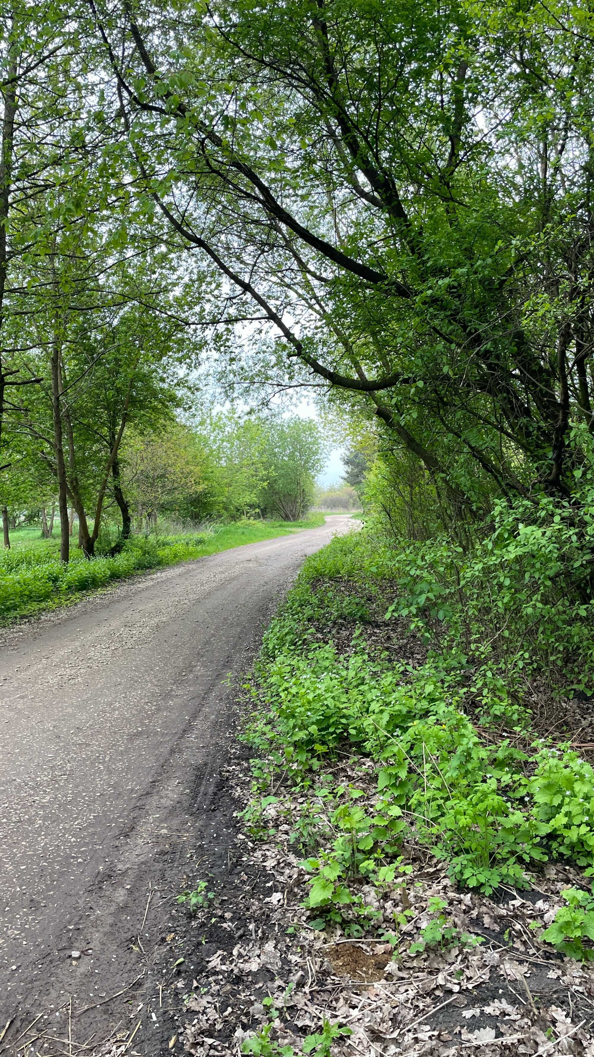 Działka Cieciszew - Konstancin-Jeziorna - 30 min Warszawa - natura