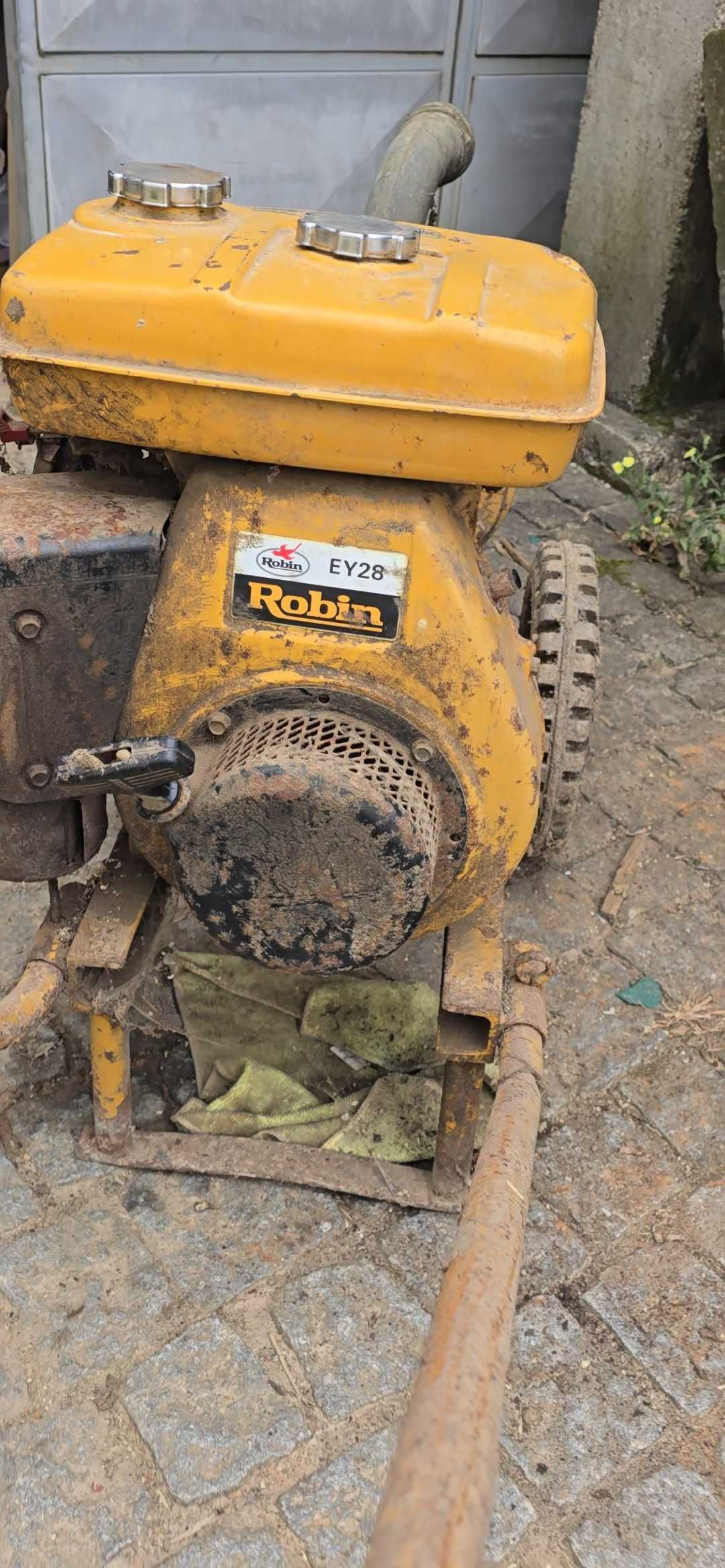 Motor para Rega Robin