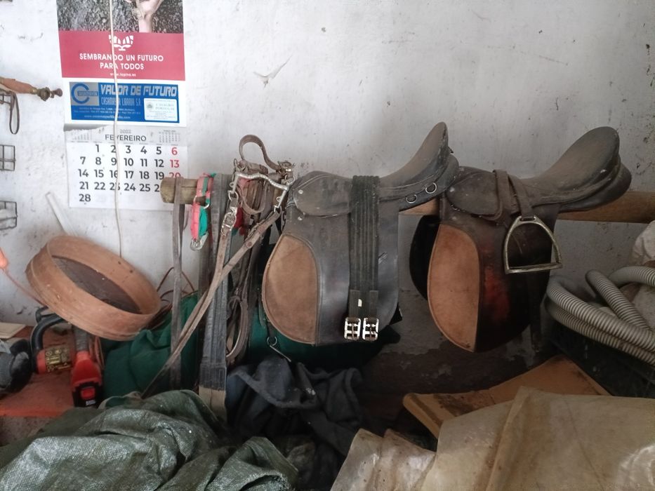 Selas inglesas completas