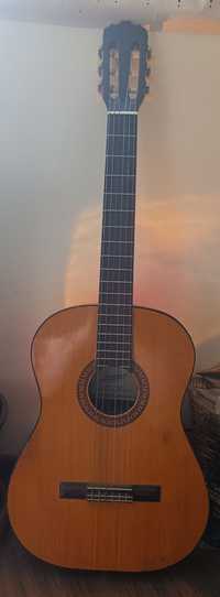 Gitara Session by Gedo Model C725