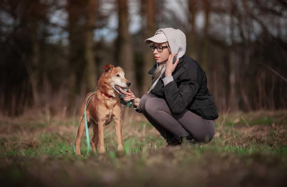 Winnie - zawsze uśmiechnięty cudowny psiak ADOPCJA