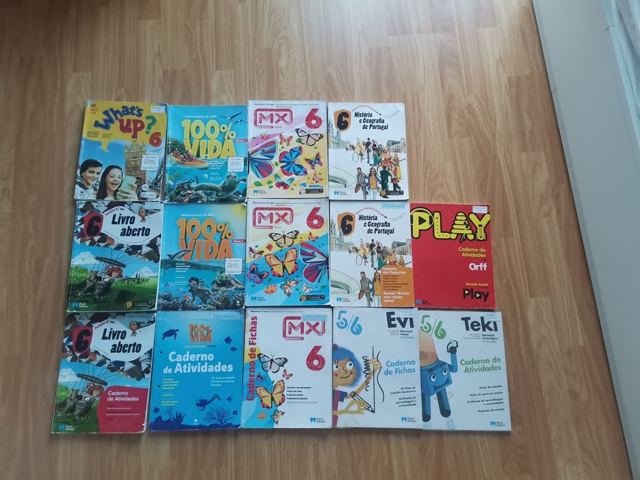 Livros escolares 6 ano