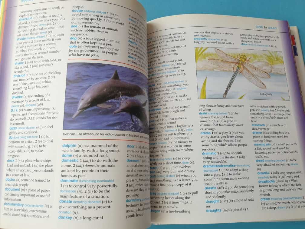 Dicionário de Inglês "Illustrated Dictionary"