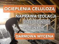 Celuloza, Ocieplenie Wełną Celulozową, Naprawa Izolacji po Kunach