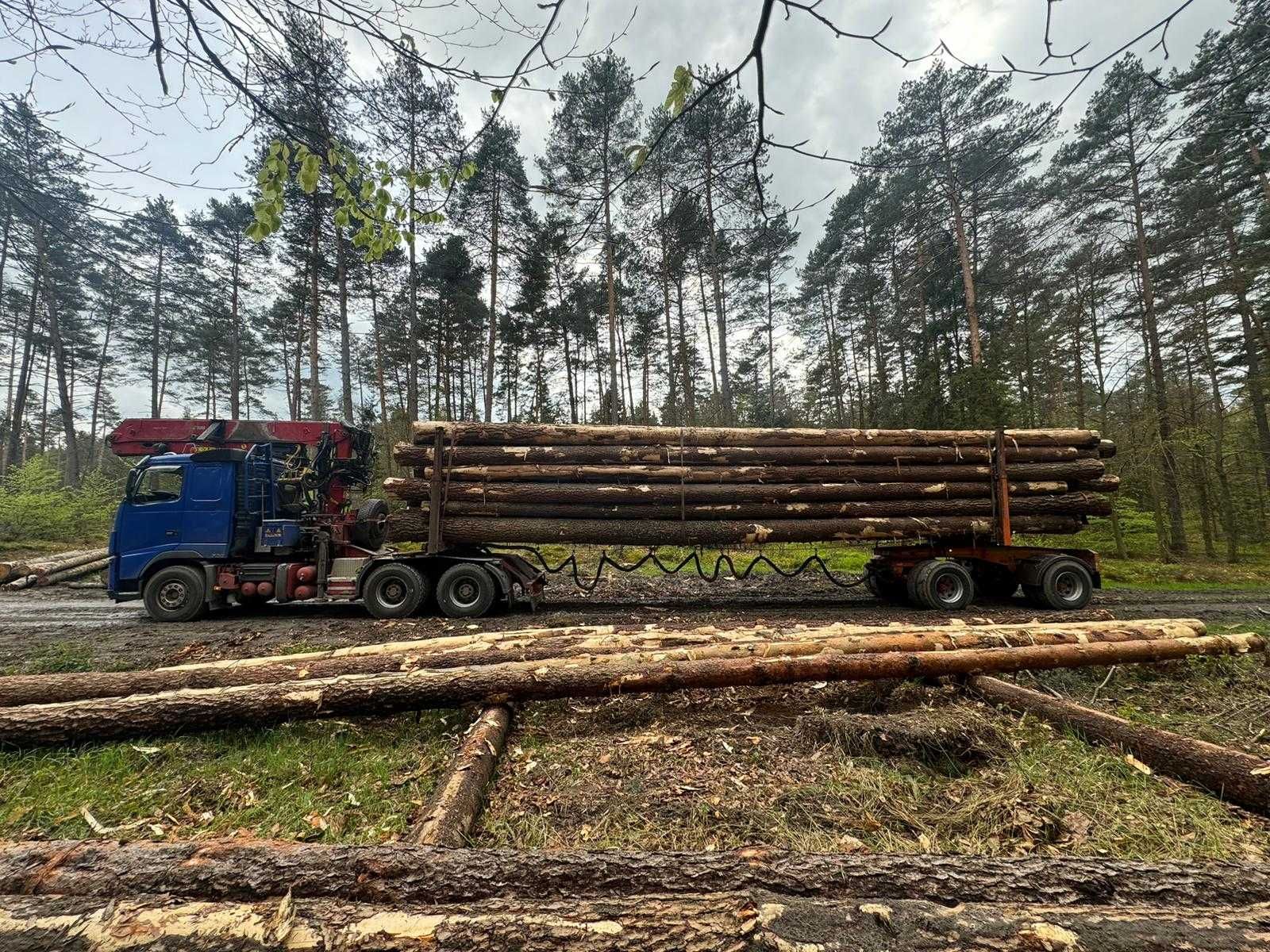 Sosna świeża drewno świerk szeroka gama surowca wieźba dachowa