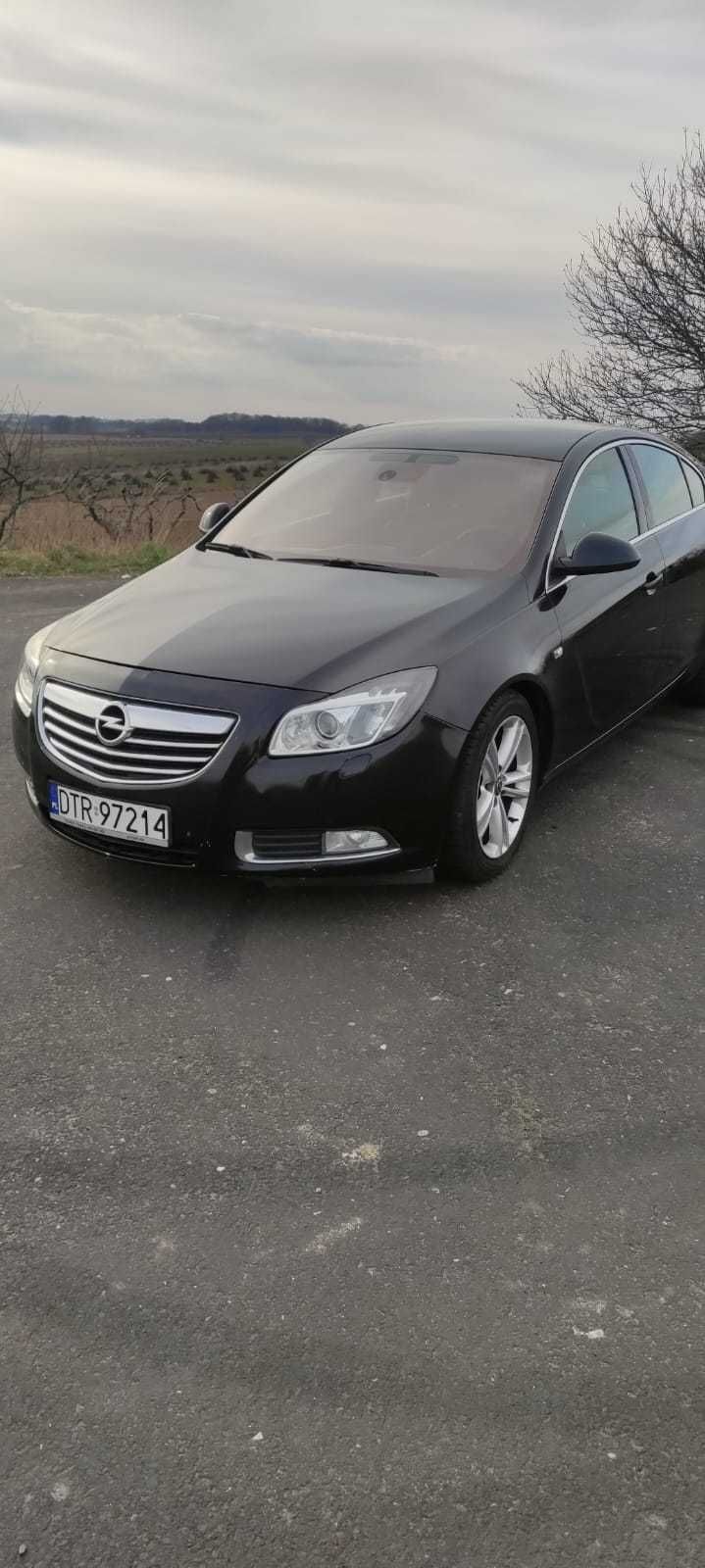 Opel Insignia 2010r. Bogate wyposażenie, czarne wnętrze, doinwestowany