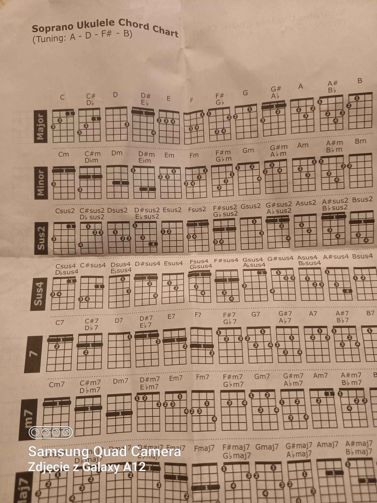 Ukulele Nowy instrument z futerałem i akcesoriami