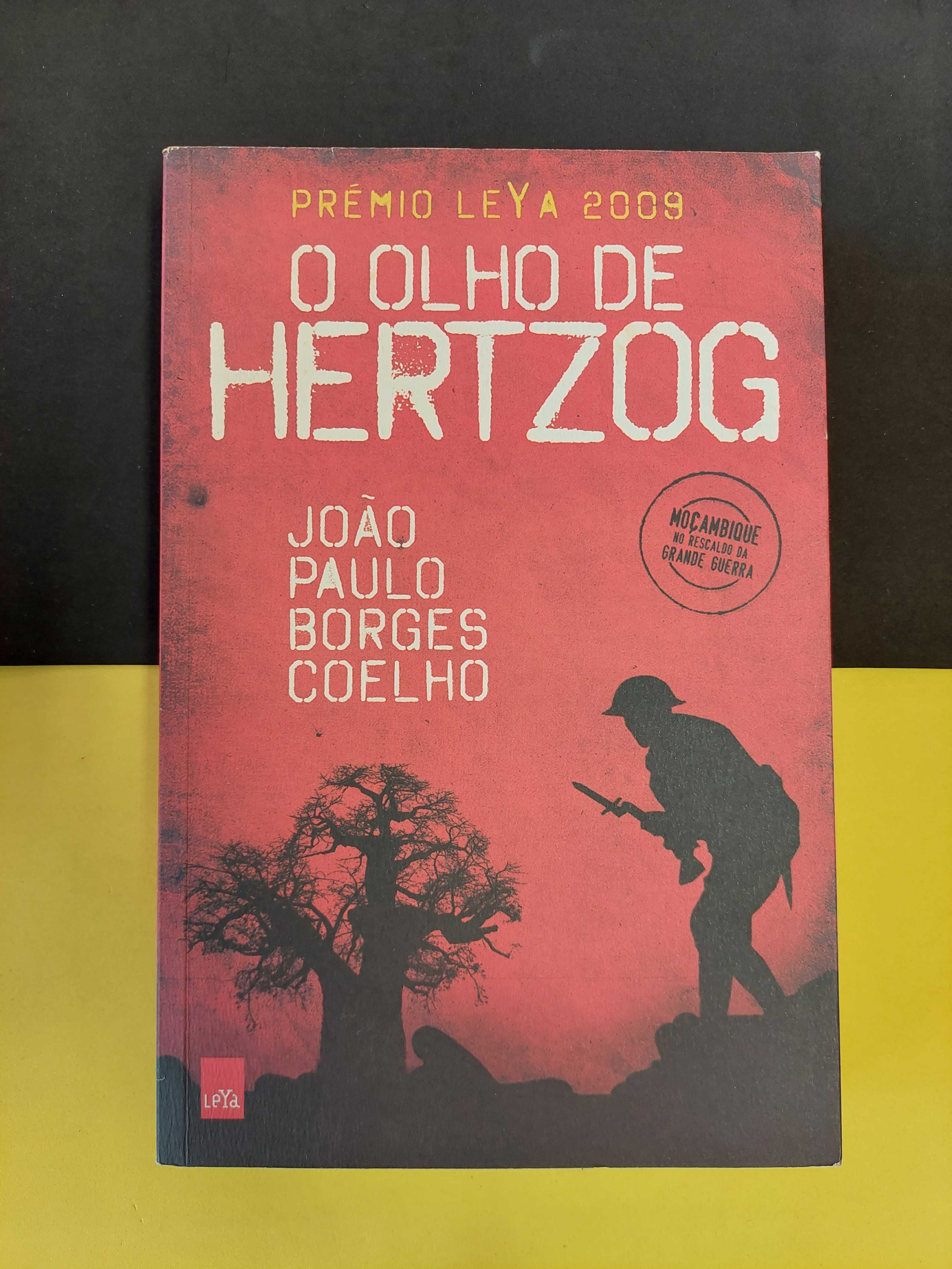 João Paulo Borges Coelho - O olho de Hertzog