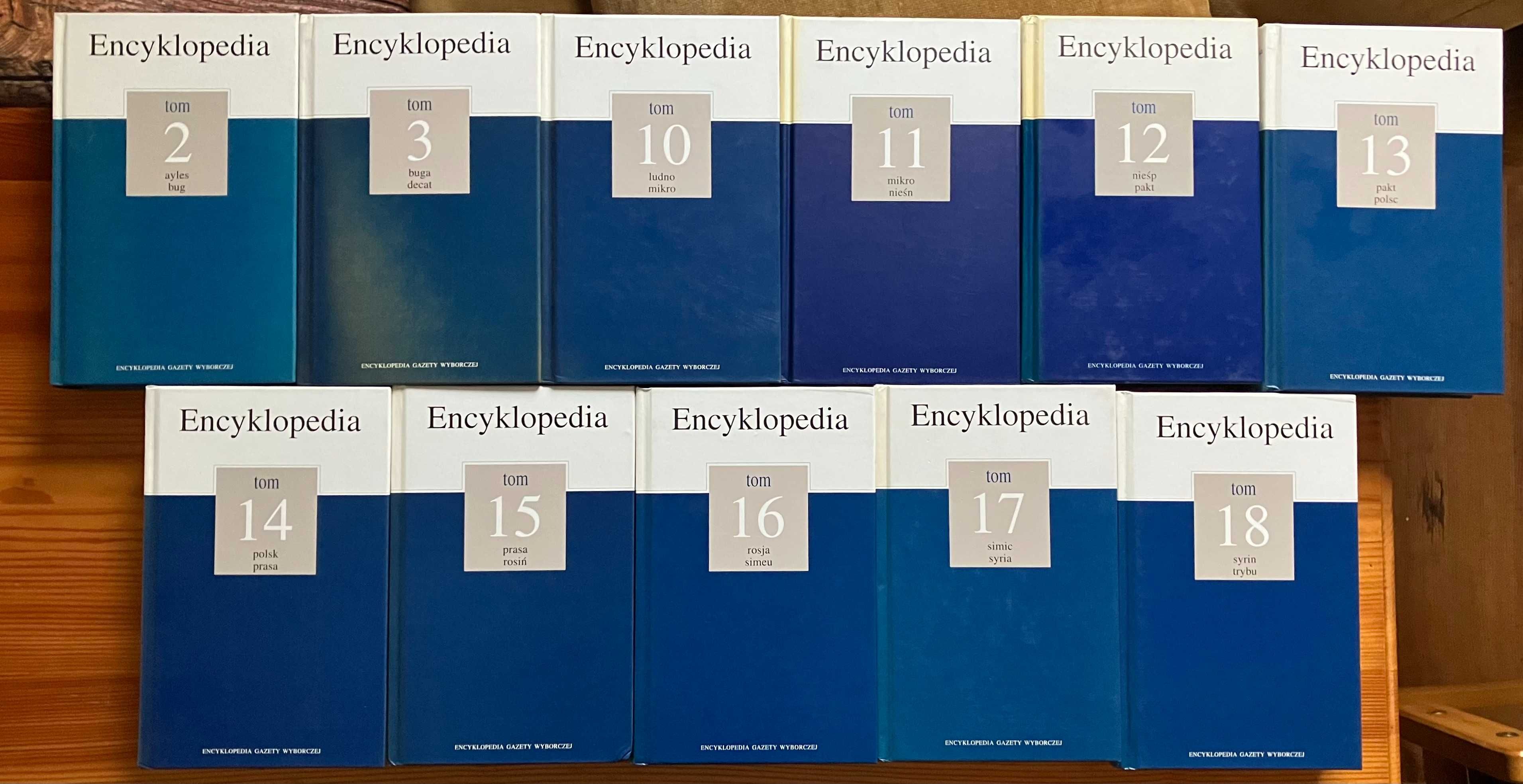 Encyklopedia Gazety Wyborczej