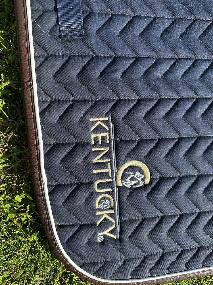 Czaprak granatowy kentucky