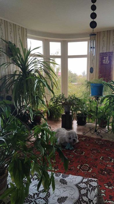 Продам дом с.Светлое, СТ"Свитанок", новые дачи,