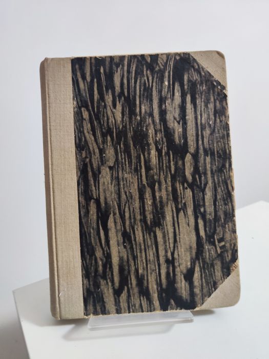 Biały róg - J. Jefremow