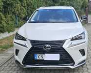 Lexus NX Z salonu w Polsce, pierwszy właściciel, stan idealny bezwypadkowy