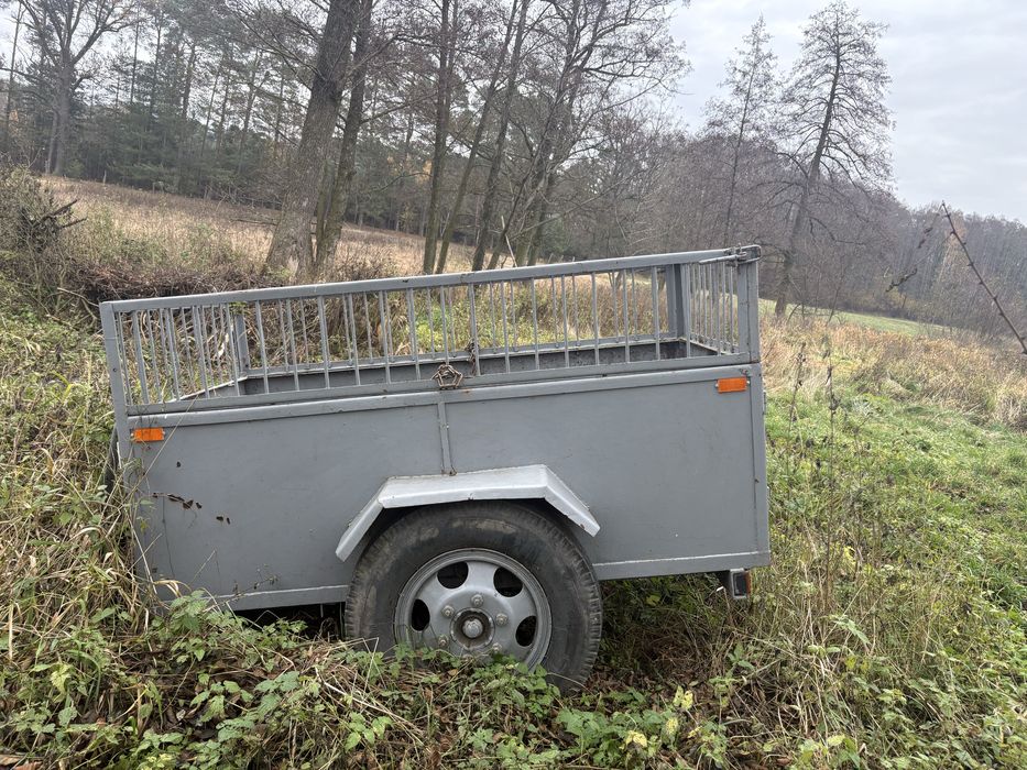 Przyczepa jedno osiowa