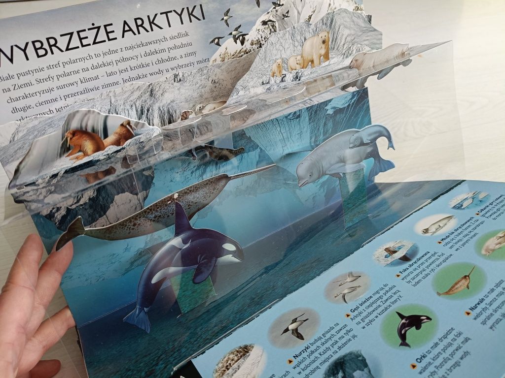Książka odkrywca 3d nasza planeta podróż dookoła i do wnętrza ziemi 3d