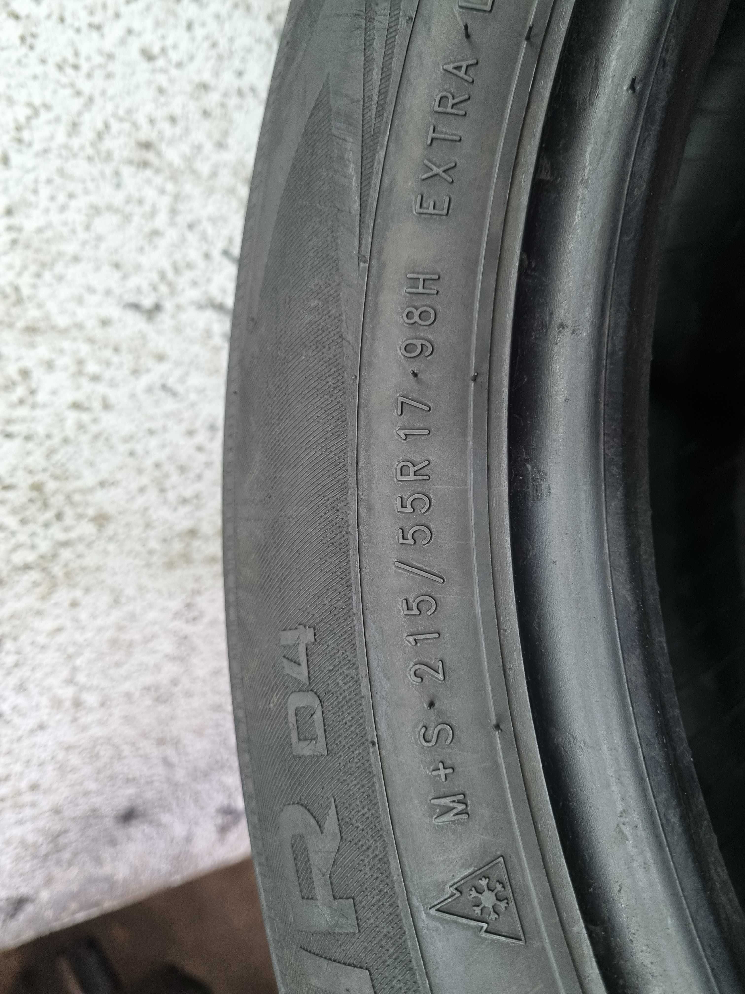 215/55/17 98H Nokian WR D4 D.3817