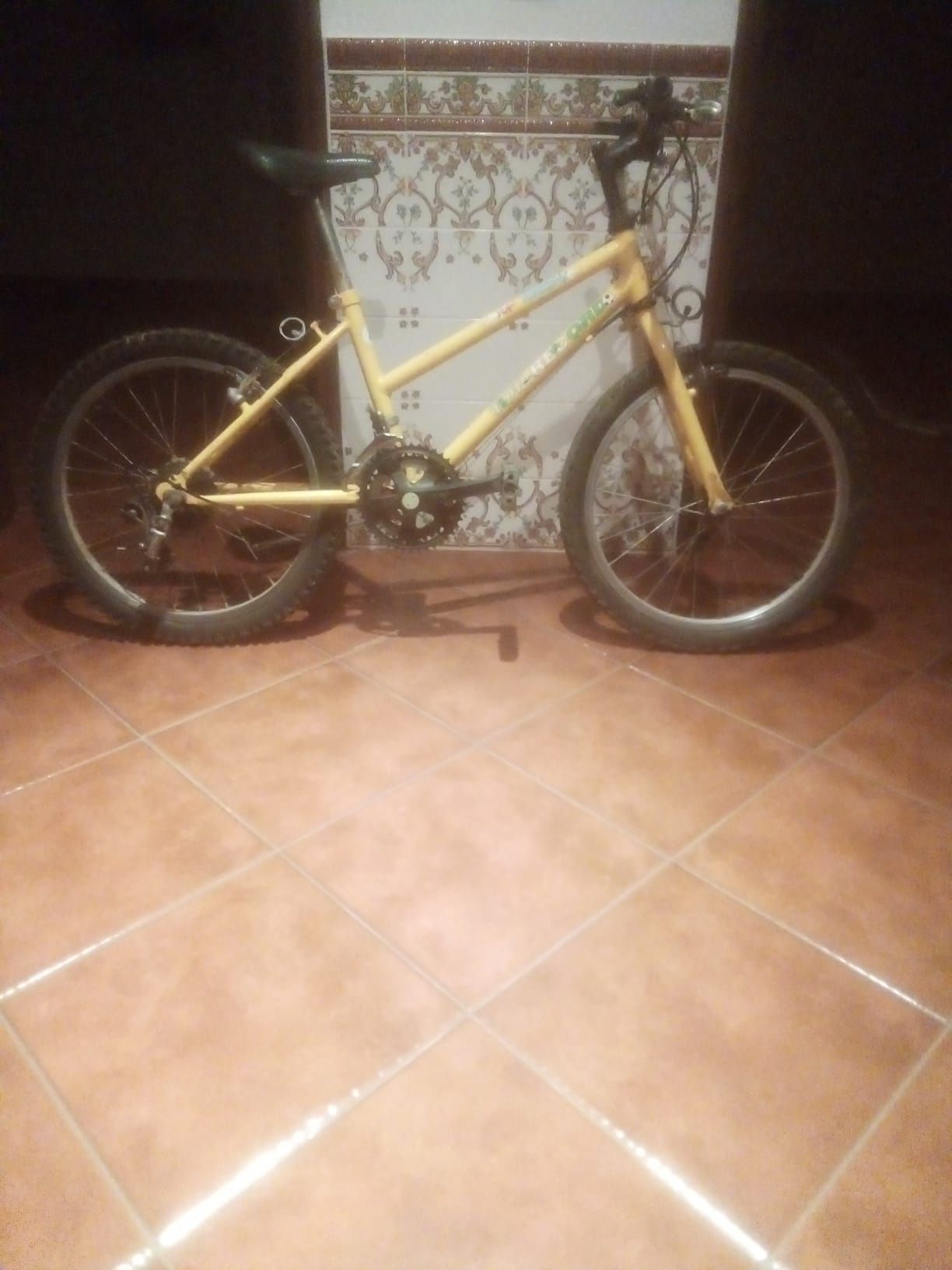 Conjunto de bicicletas