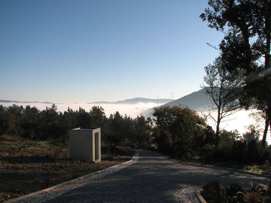 Adestrador Canino - Treino e obediência