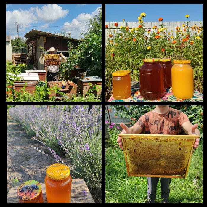 Свіжий мед 2025 з Полтавщини. Акація липа сади ліс.