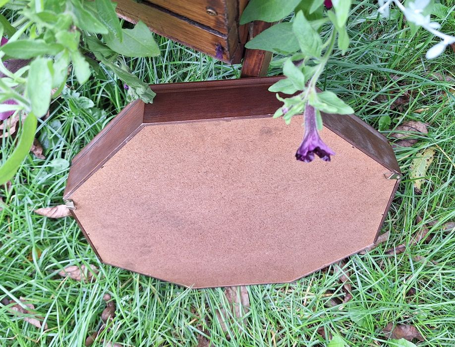 Gablotka witrynka na przedmioty kolekcjonerskie